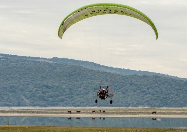 Levantando el vuelo sobre los caballos.JPG